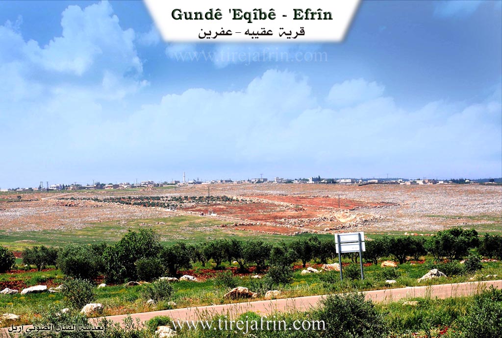 Photo of Aqîbê