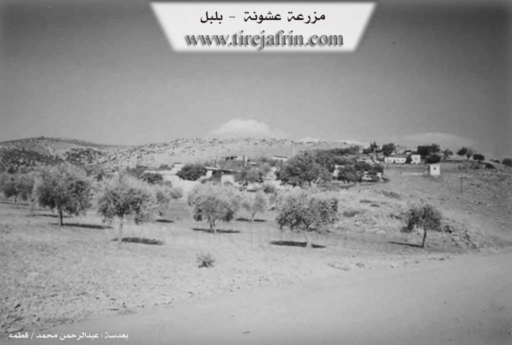 Photo of Eşûnê