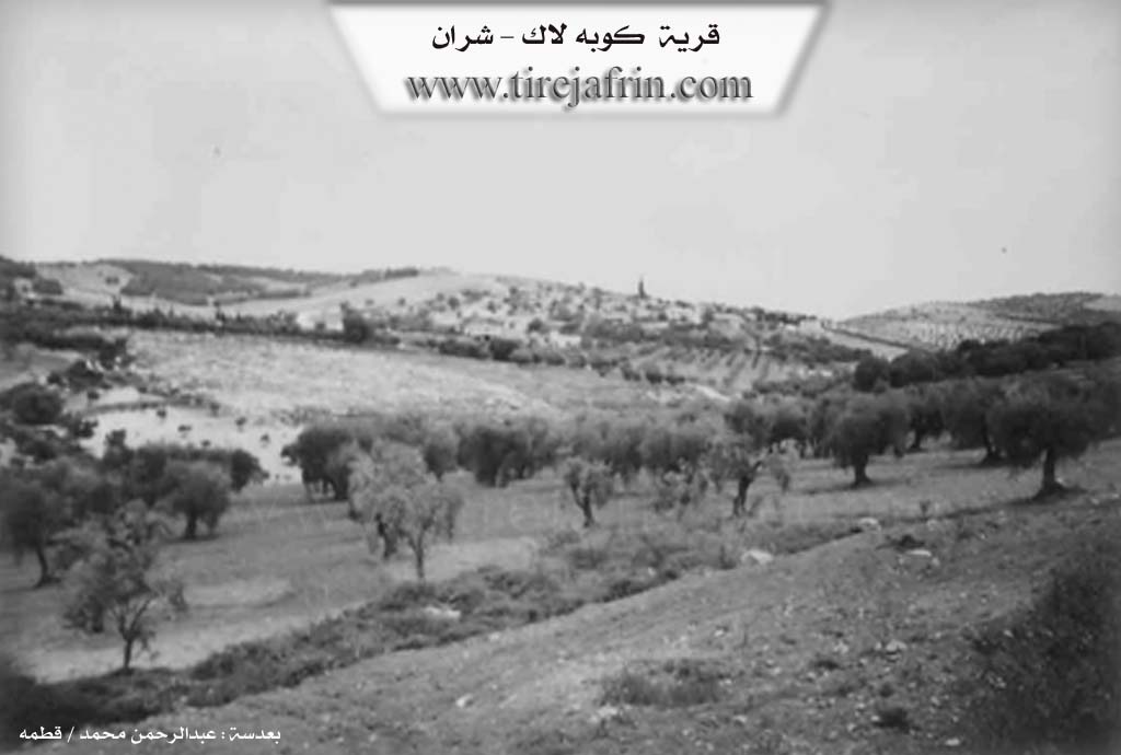 Photo of Gubelê