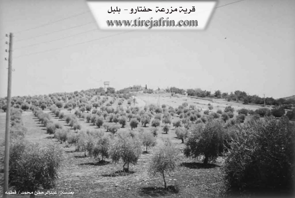Photo of Ĥeftêr