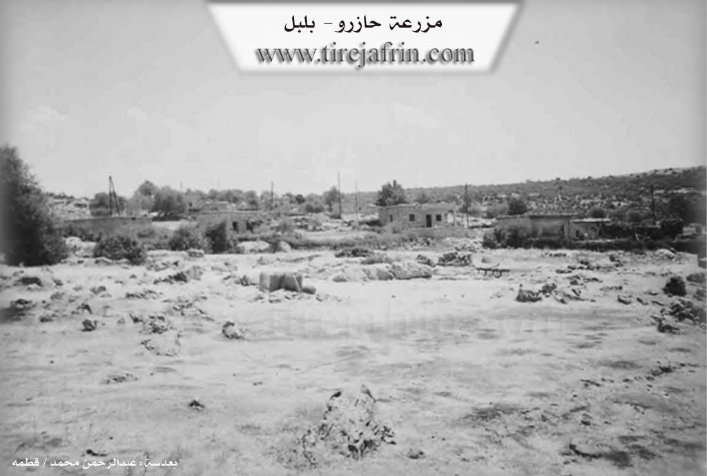 Photo of Ĥazira