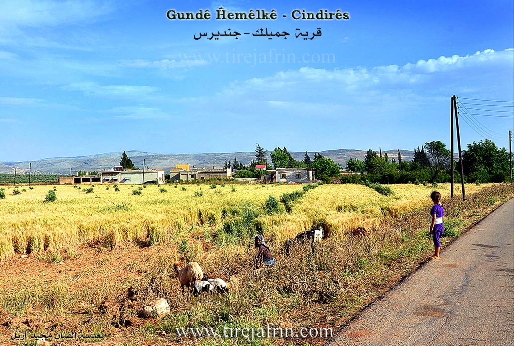 Photo of Ĥemêlkê