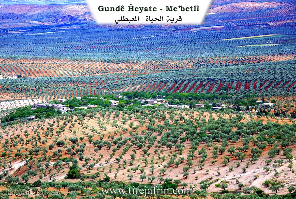 Photo of Ĥeyatê