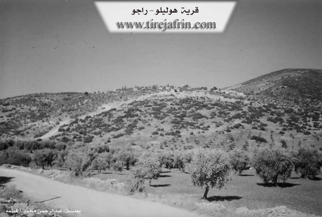 Photo of Holîlê