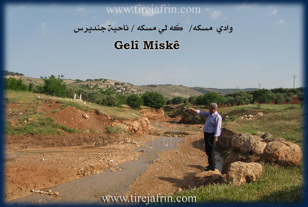 Photo of Miskê Jorin
