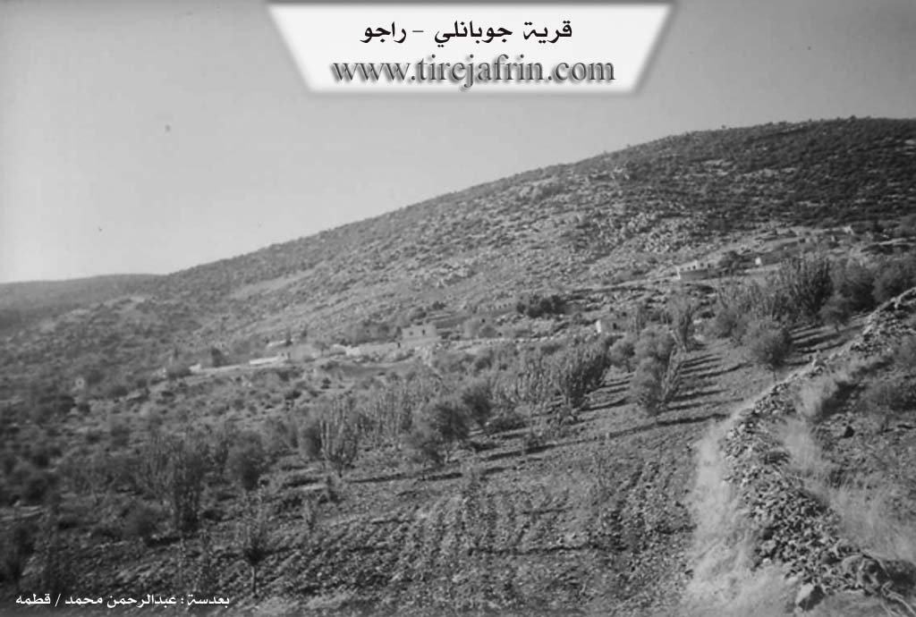 Photo of Çobana - Reco