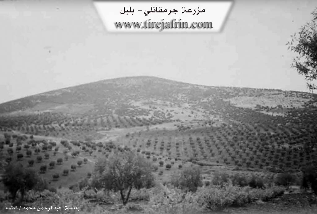 Photo of Cirqa