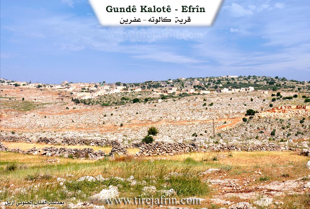 Photo of Kilotê