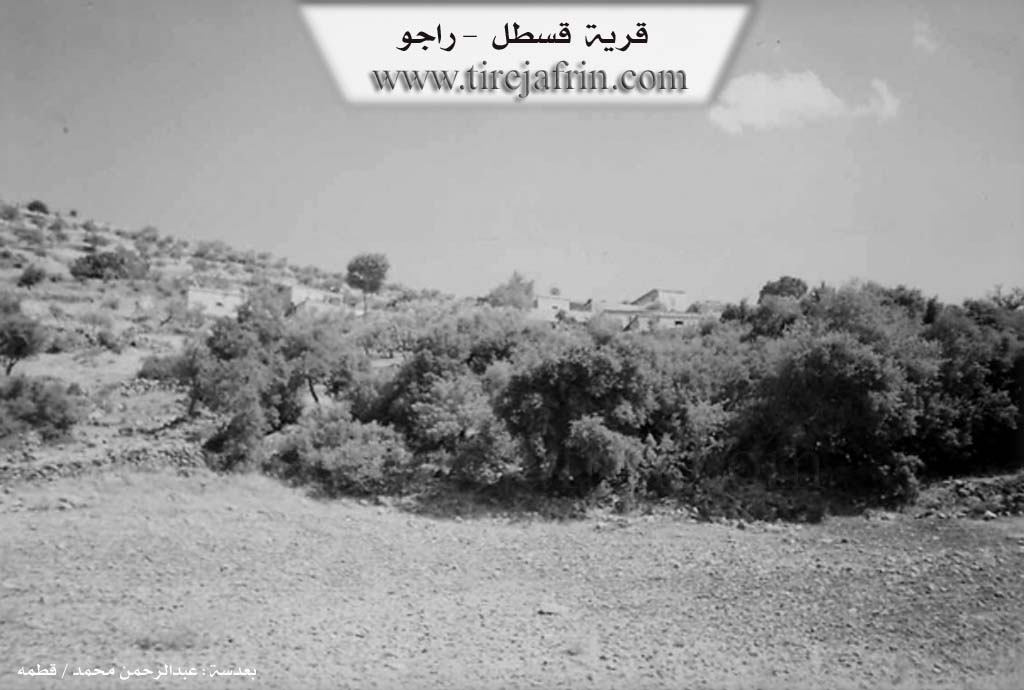 Photo of Qestela