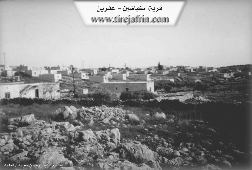 Photo of Kîbêşînê