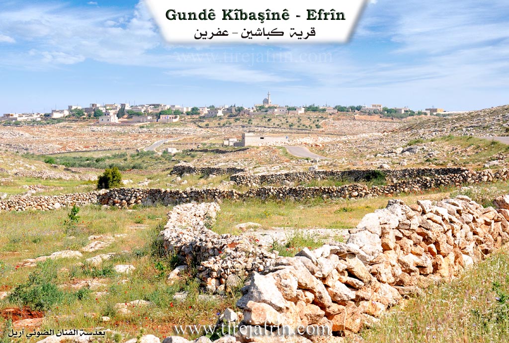 Photo of Kîbêşînê