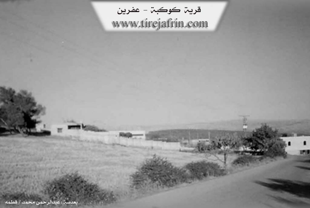 Photo of Kokebê