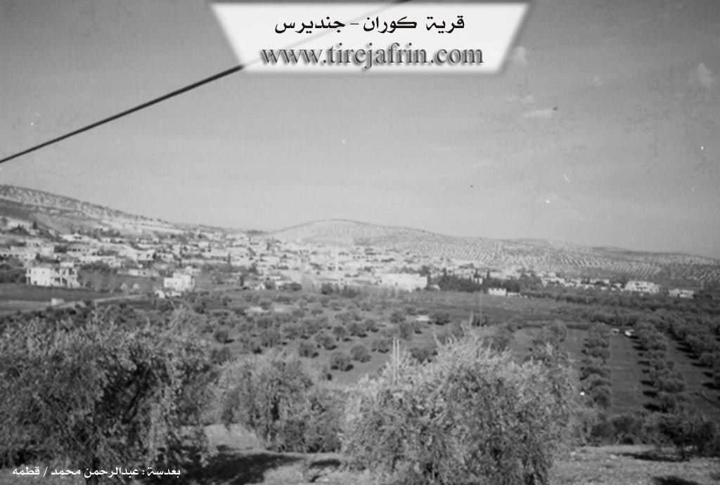 Photo of Kora