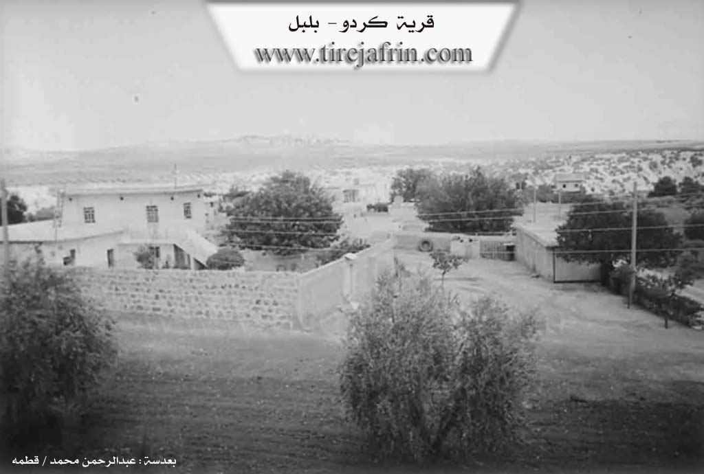 Photo of Kurdo