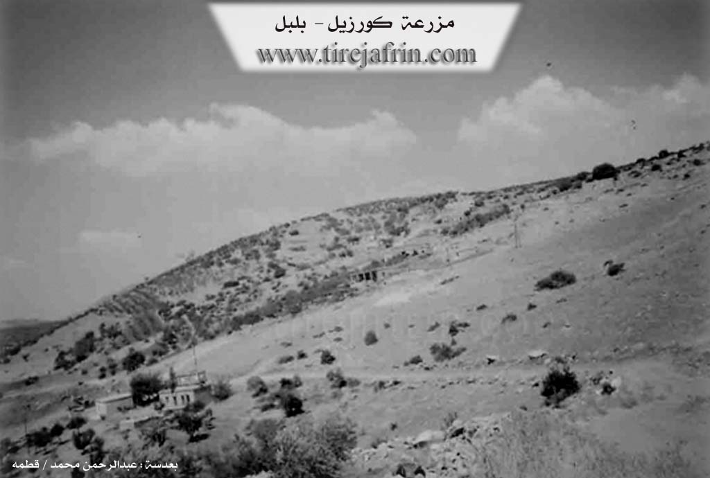 Photo of Kurzêl
