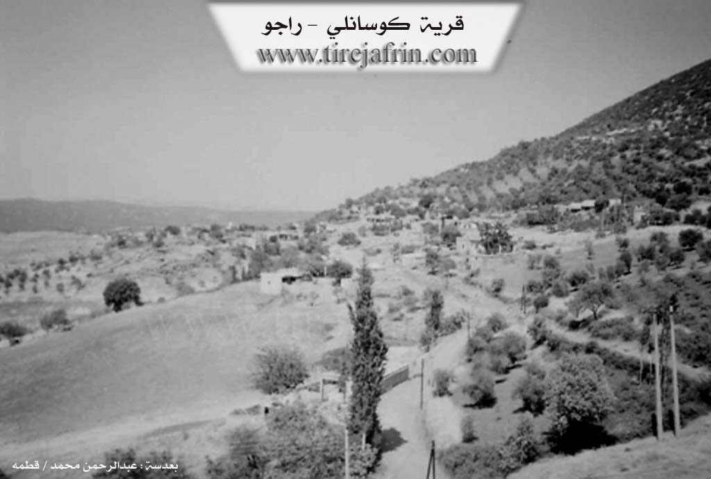 Photo of Kosa