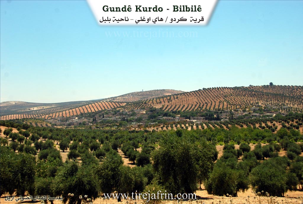 Photo of Kurdo