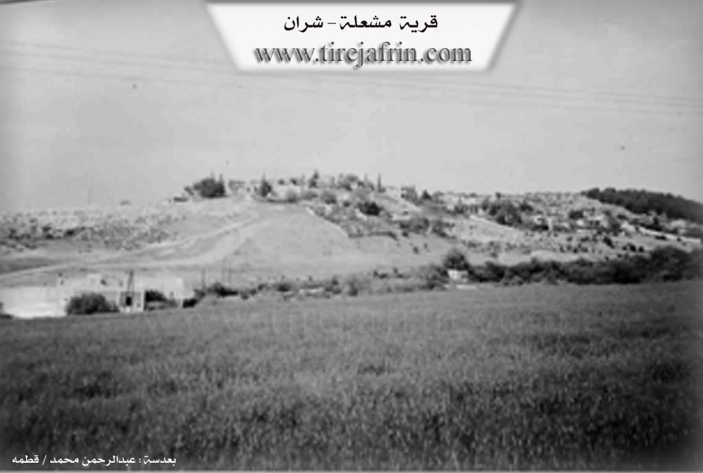 Photo of Meşalê