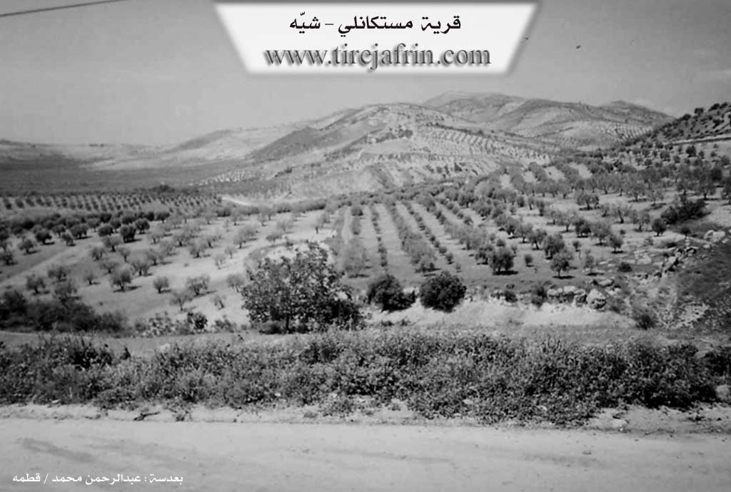 Photo of Mistika