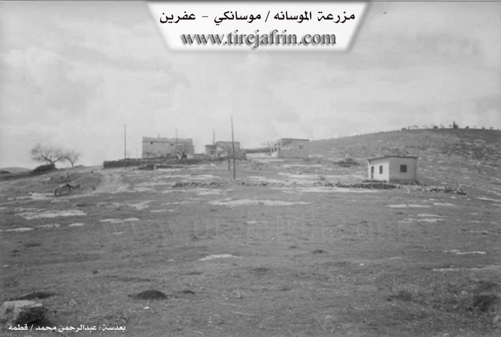Photo of Mosankî