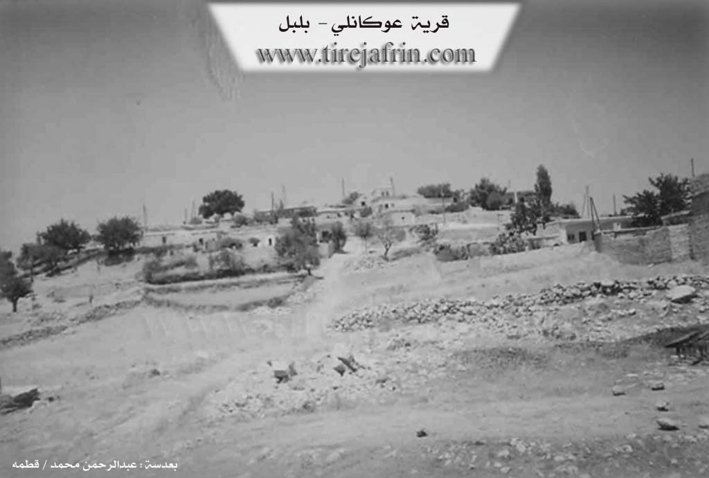 Photo of Qarşiqa
