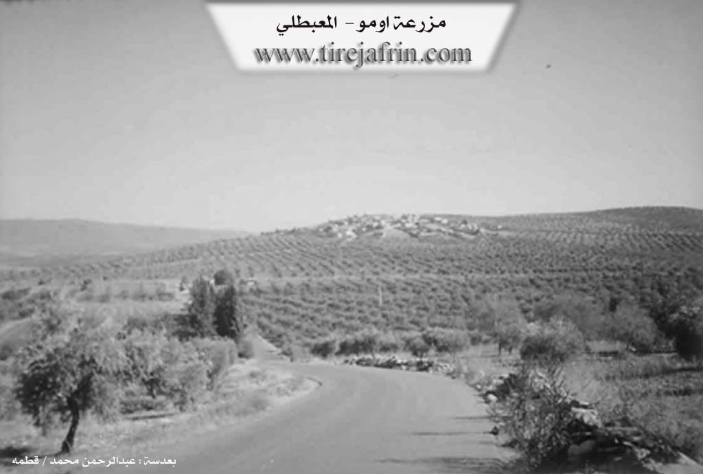 Photo of Omo