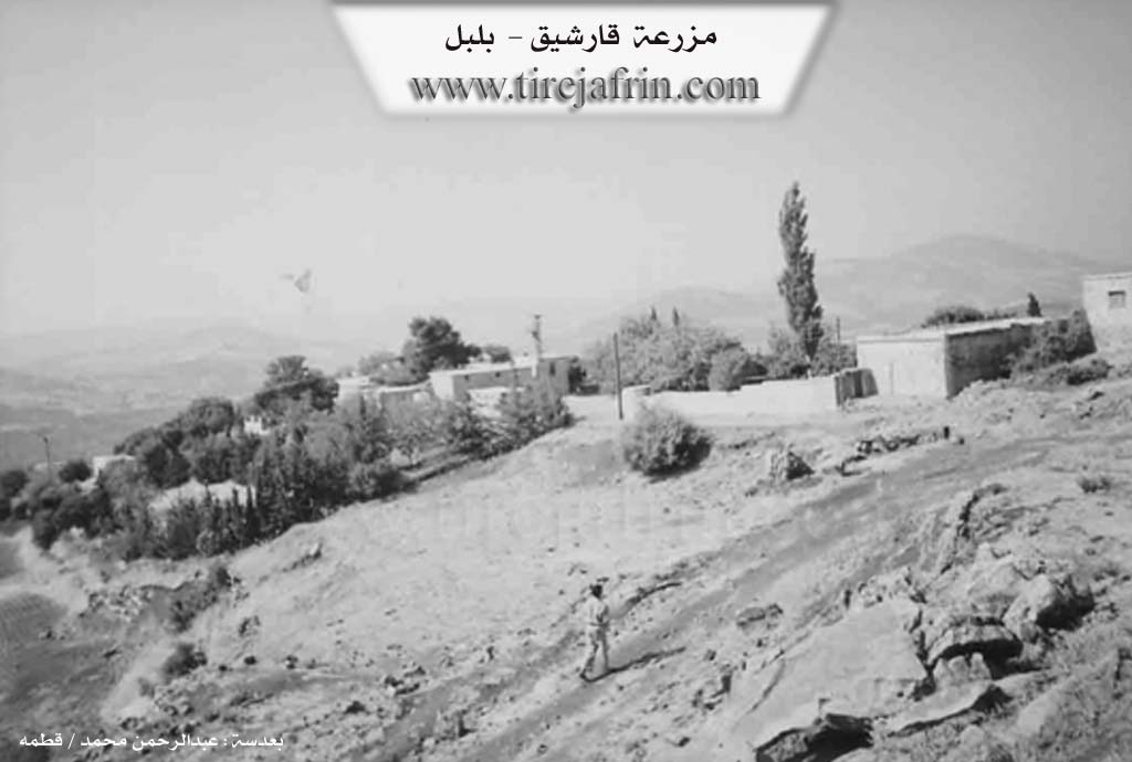 Photo of Qarşiqa