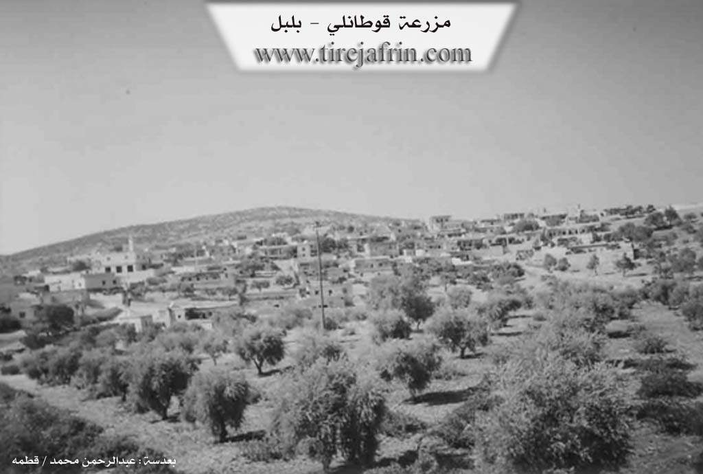 Photo of Qota