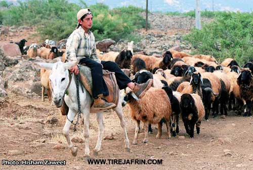 Photo of Şiyê