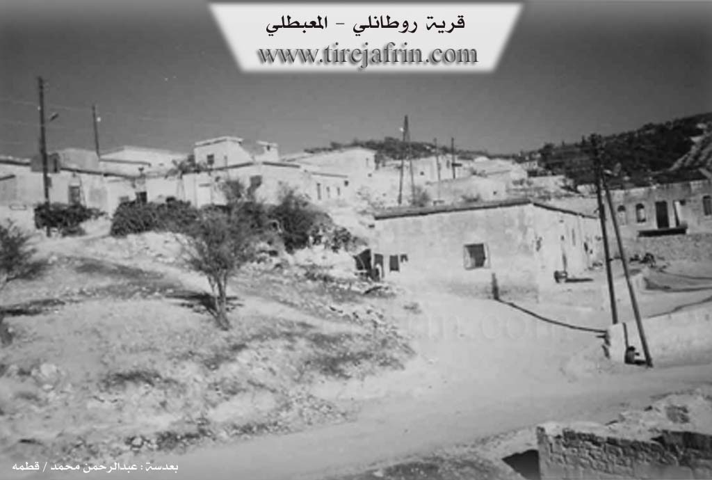 Photo of Rûta
