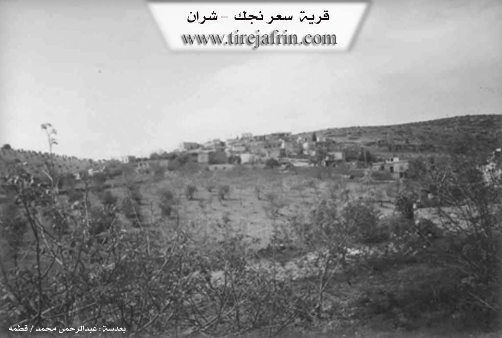 Photo of Serîncekê