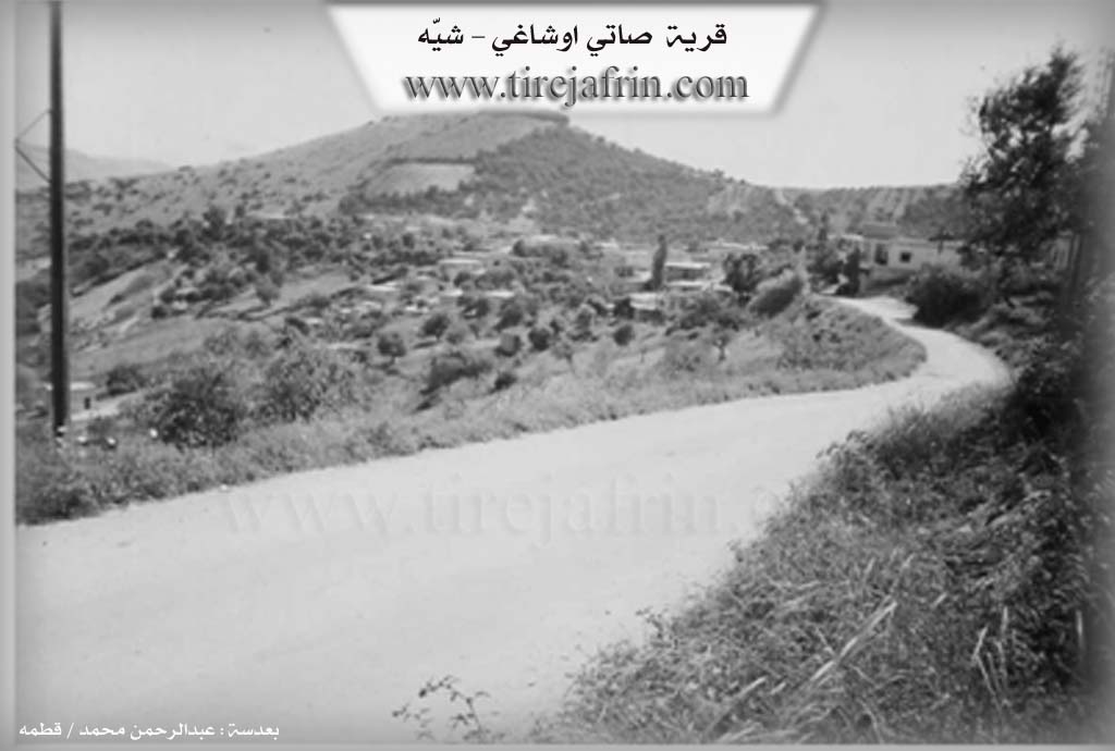 Photo of Alkana