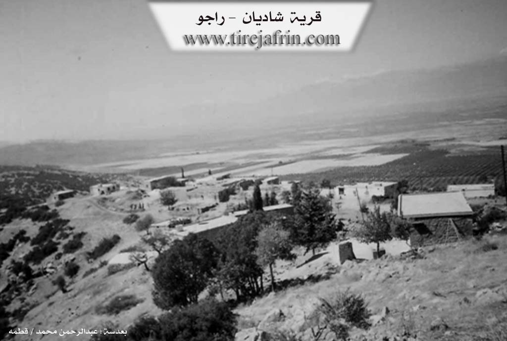 Photo of Şediya