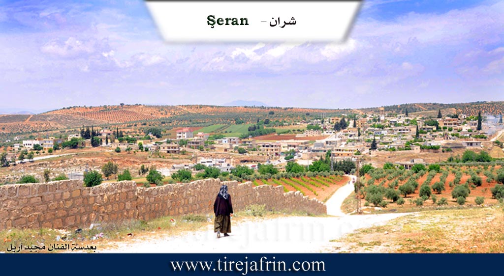 Photo of Şera