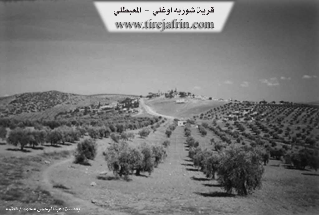 Photo of Şorbe