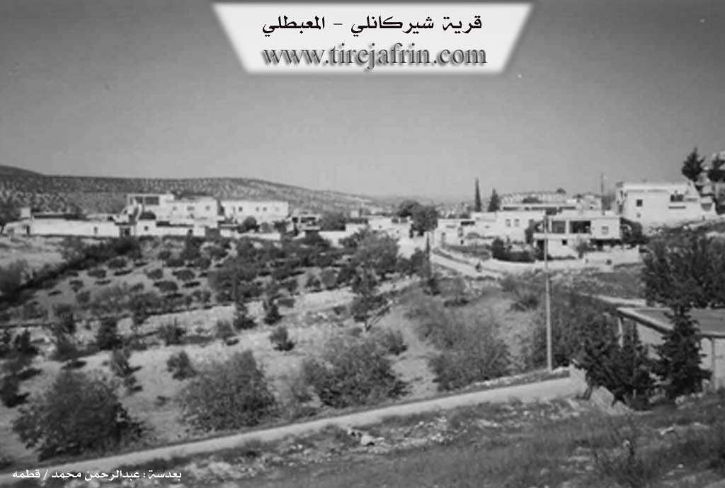 Photo of Şîtka