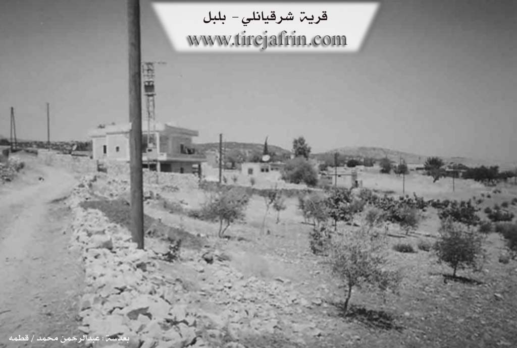 Photo of Şêrqiya