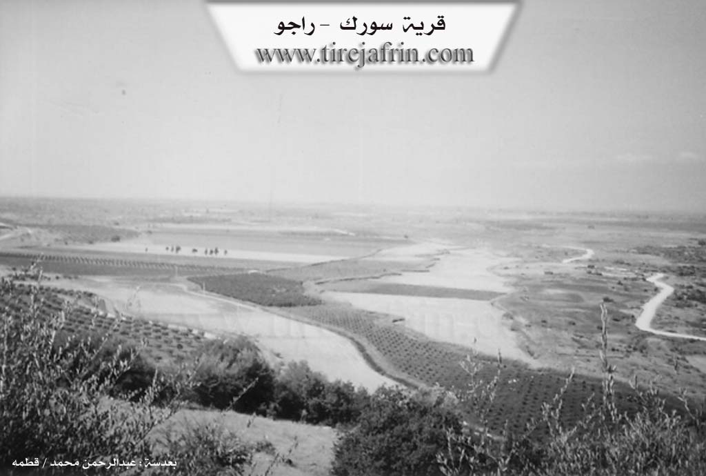 Photo of Sorkê