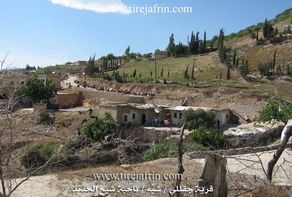 Photo of Çeqelê Jorin