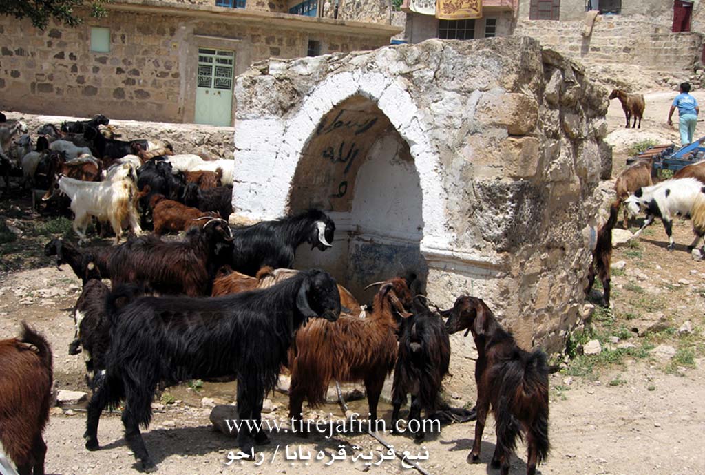 Photo of Qere Baba