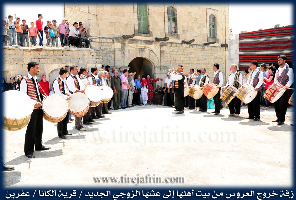 Photo of Alkana