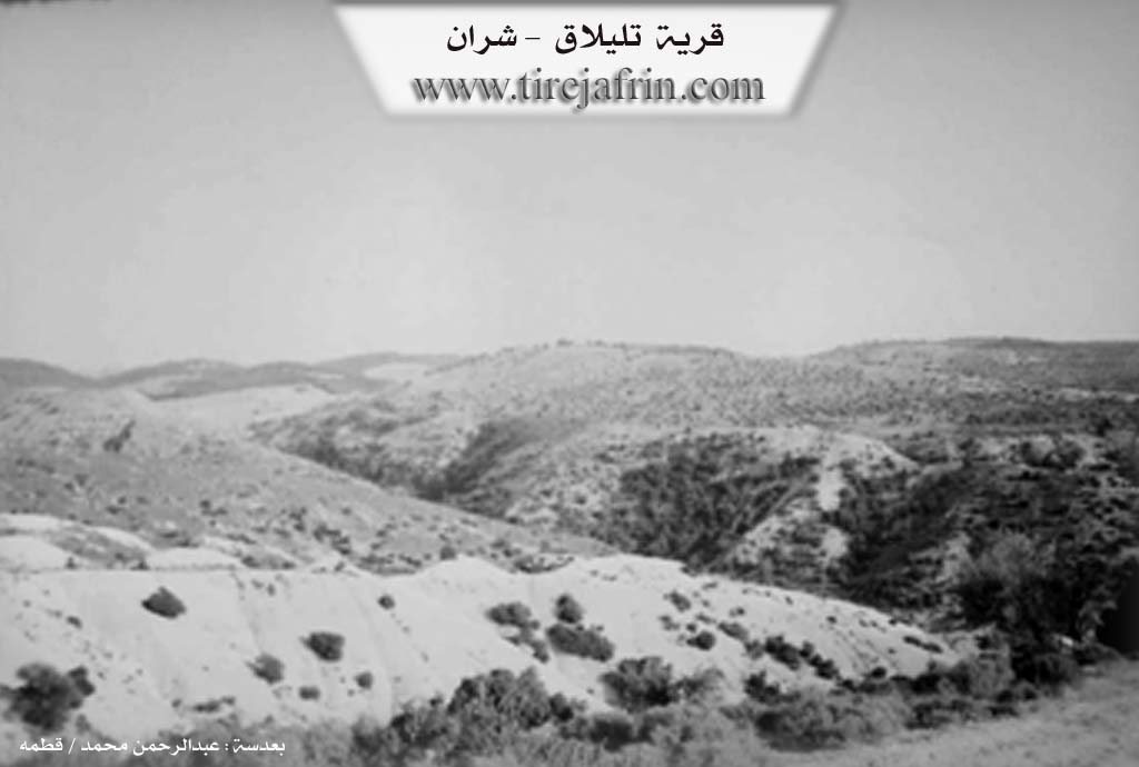 Photo of Tilîlaqê