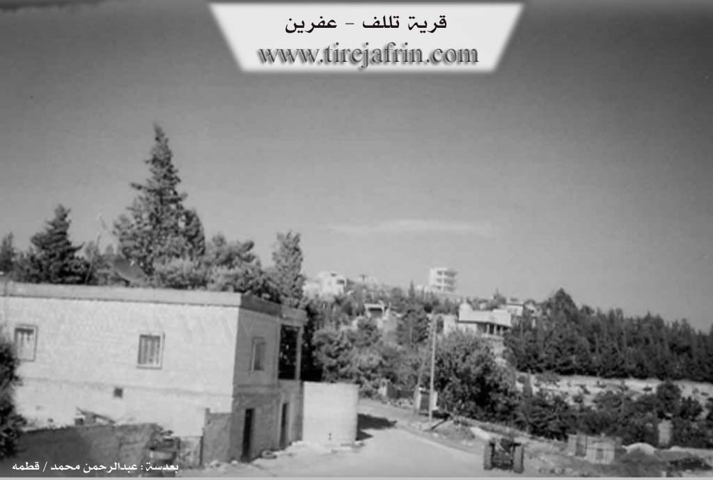 Photo of Tilifê
