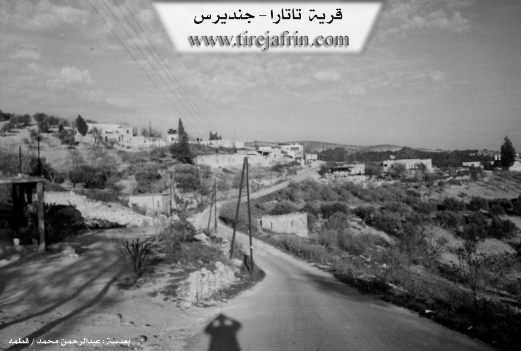 Photo of Tetera
