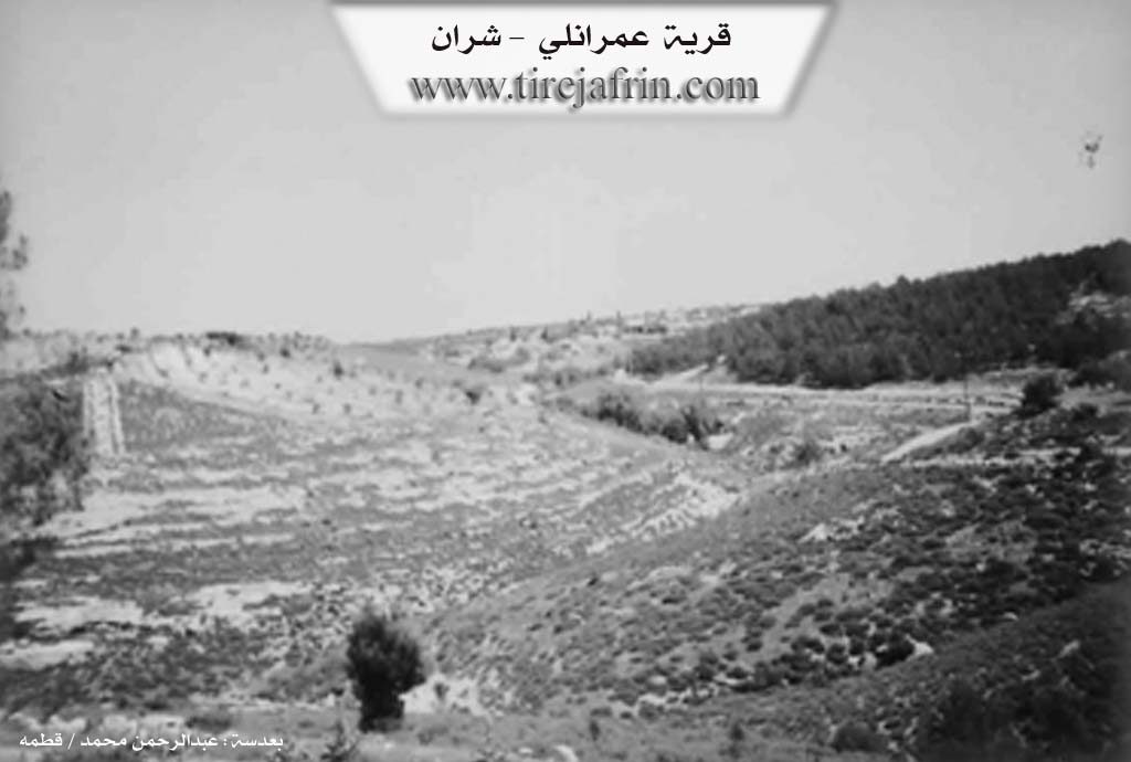 Photo of Omera