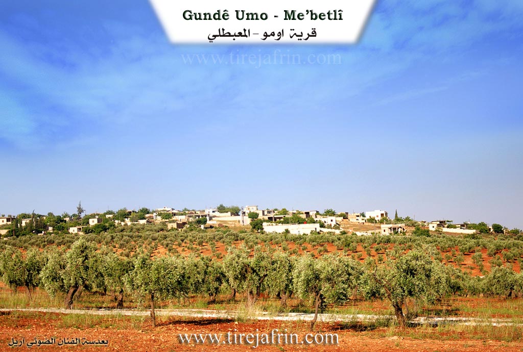 Photo of Omo