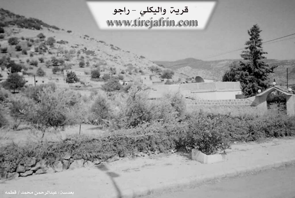 Photo of Welîklî