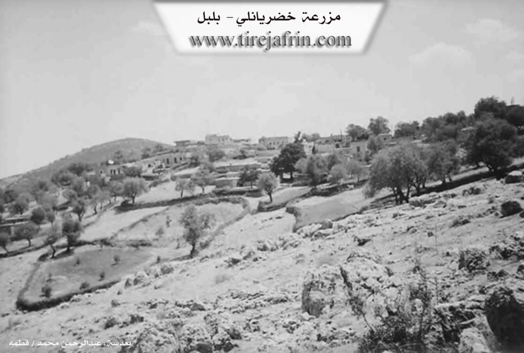 Photo of Xidiriya