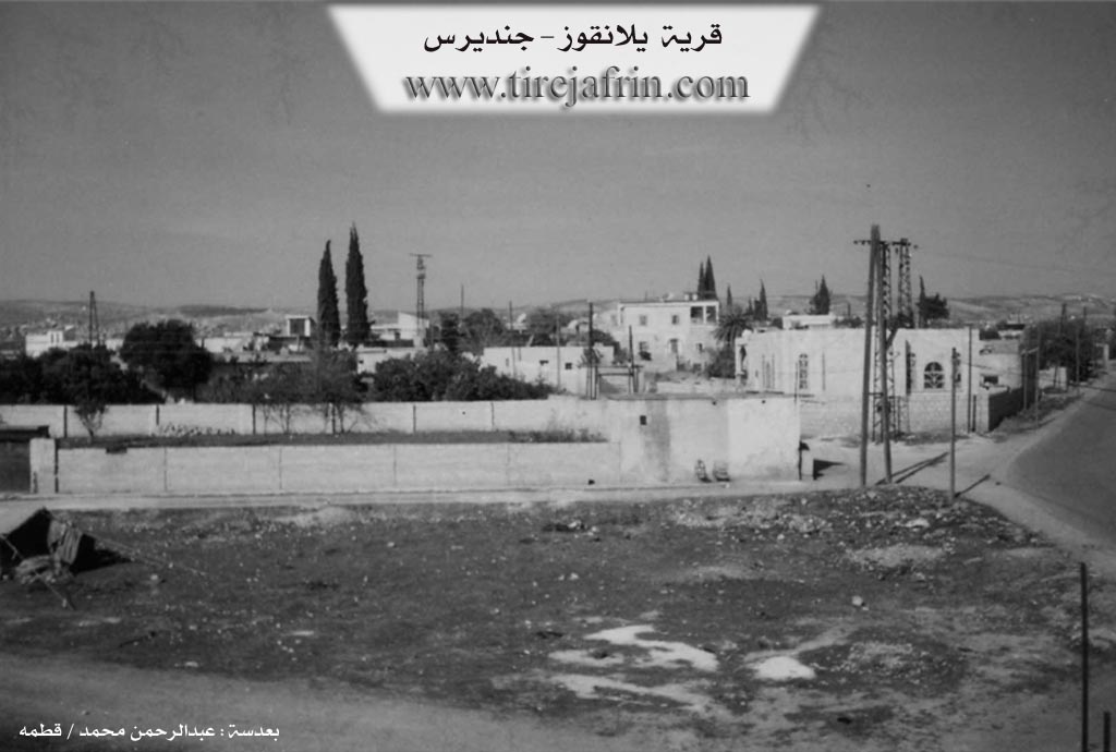 Photo of Yalanqozê