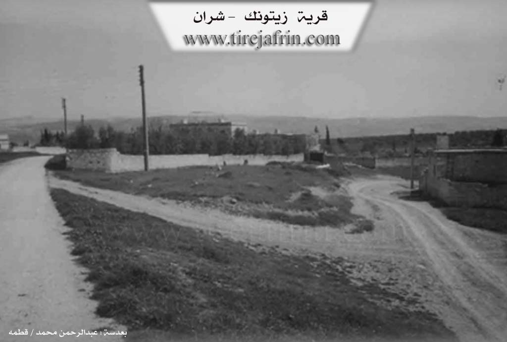 Photo of Zêtûnekê